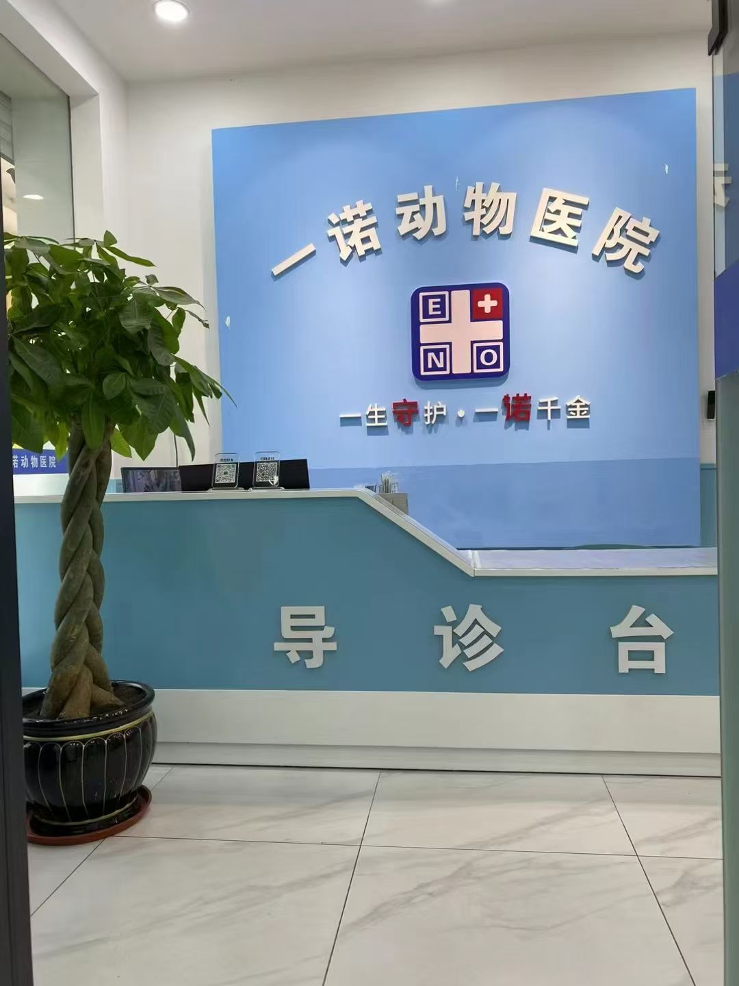 宠物手术如何安心？走进一诺动物医院外科中心