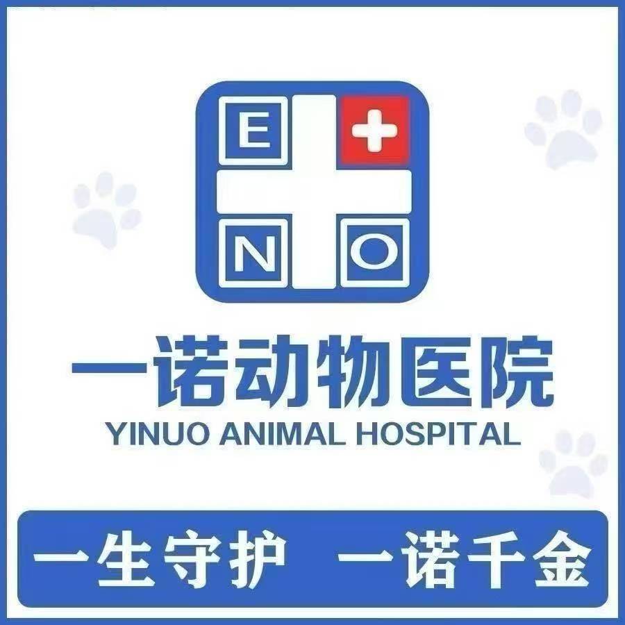 宠物影像检查怎么选？探访一诺动物医院影像中心