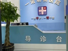 宠物骨科伤病全周期管理 长春一诺动物医院骨科中心